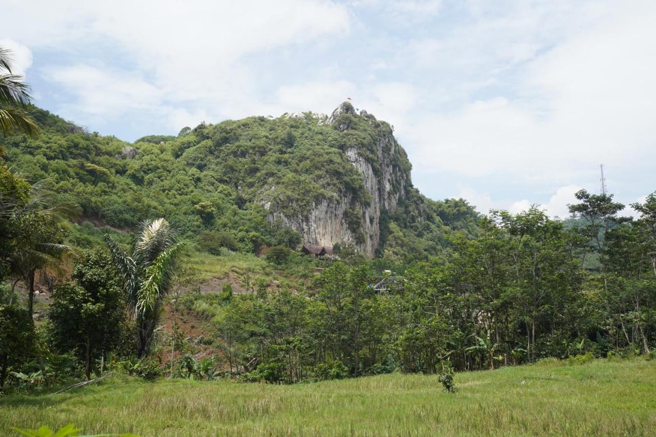 Oyo Homes 90917 Eco Tourism Geopark Padalarang Homestay Syariah Bandung Eksteriør billede